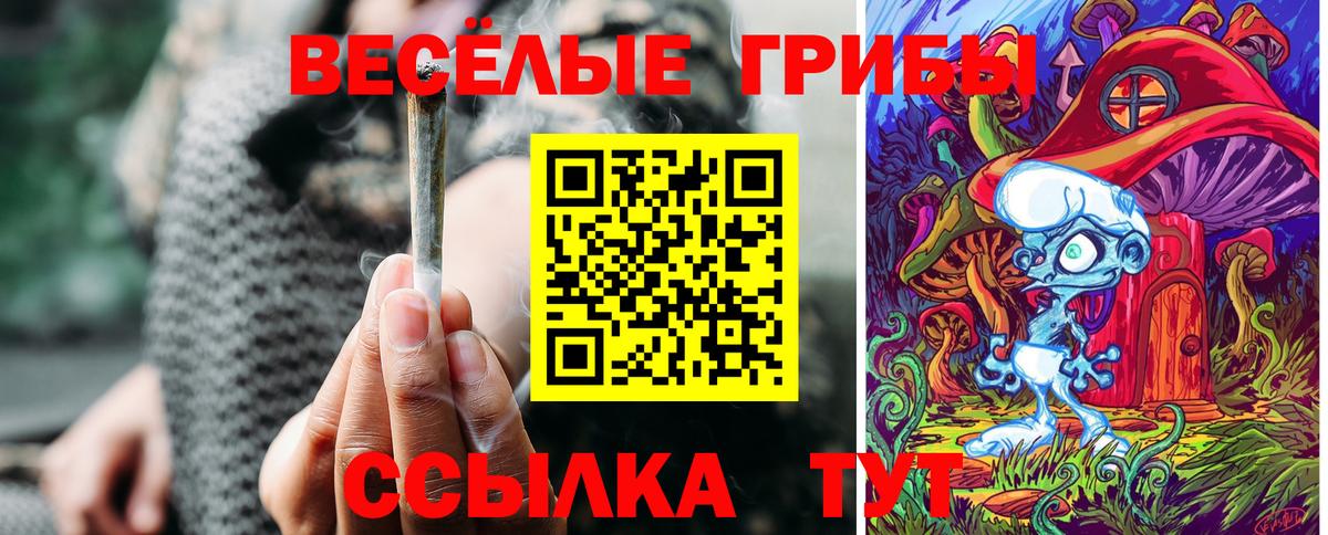 Псилоцибиновые грибы мицелий  Вход с VPN  Галлюциногенные грибы ЛСД  Отрадный 